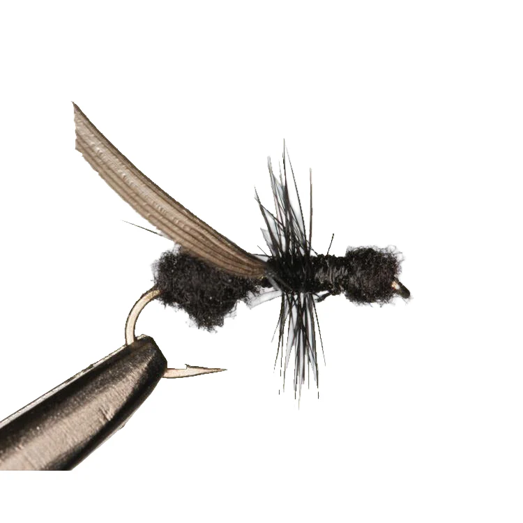 Flying Ant - 3 pack