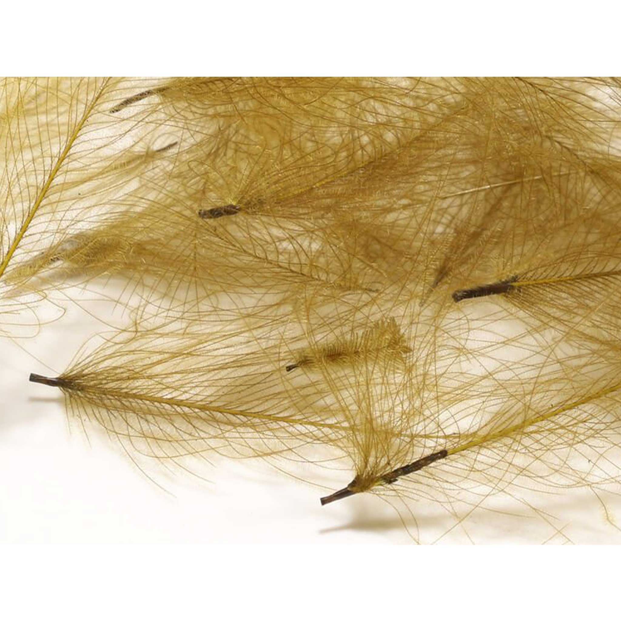 Hareline CDC - Image 6