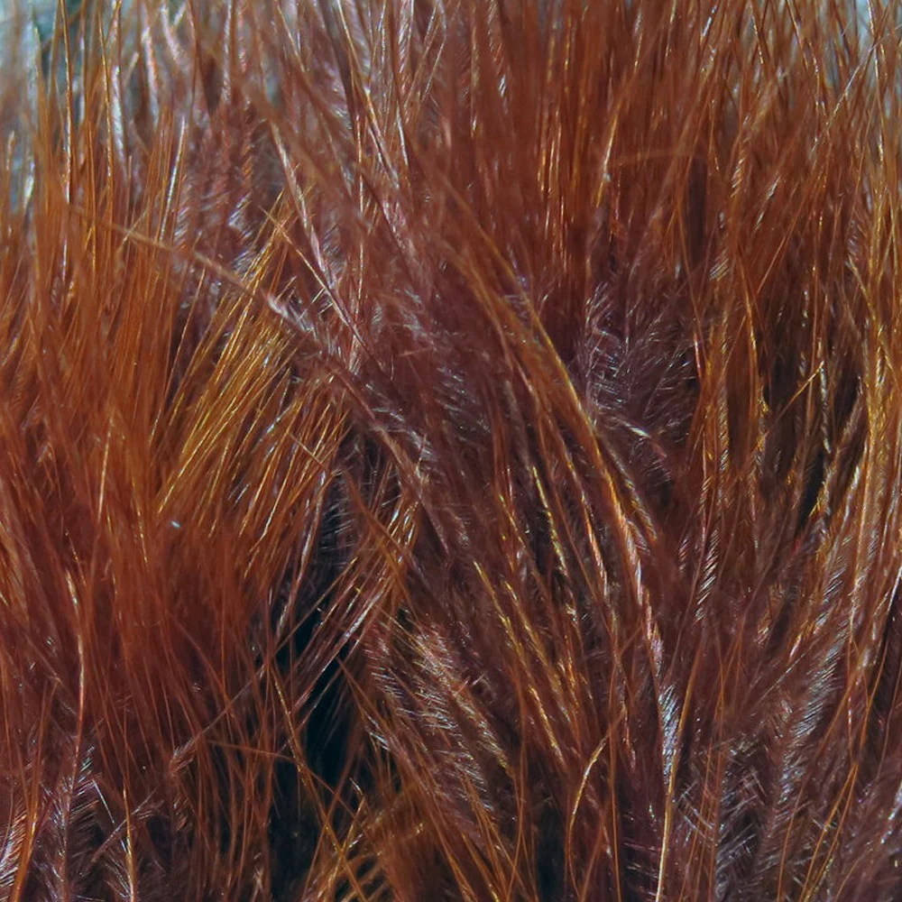 Hareline Marabou Blood Quills - Image 14