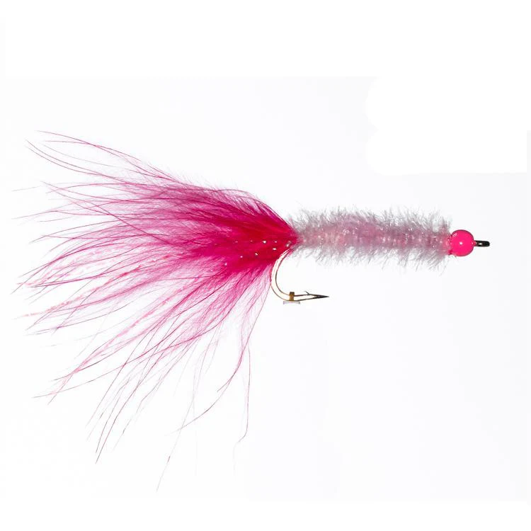 Salty Bugger - Image 5
